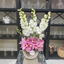 vase of Purity and Grace