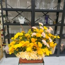 Golden Glow Arrangement