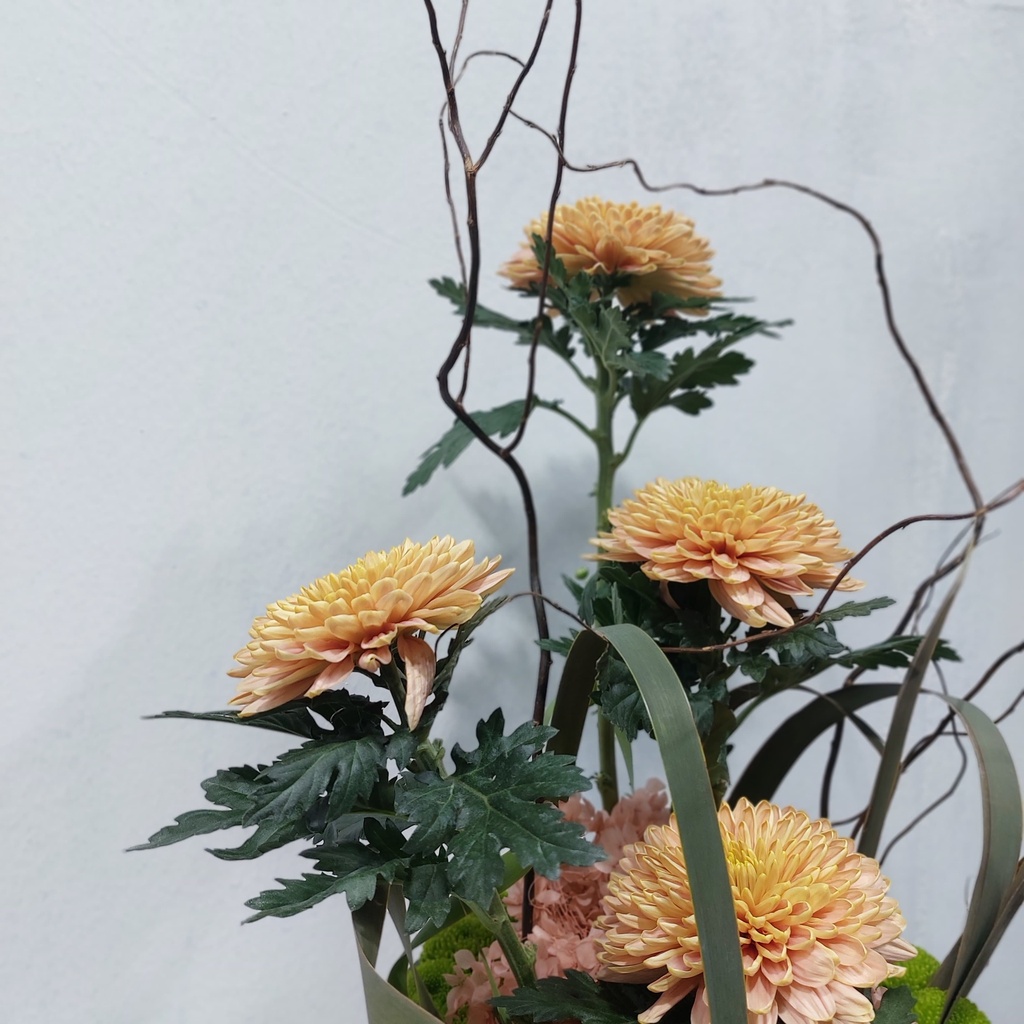 Golden Reverie in Vase