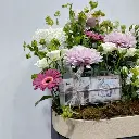 Blossom Cash Creation 2.webp
