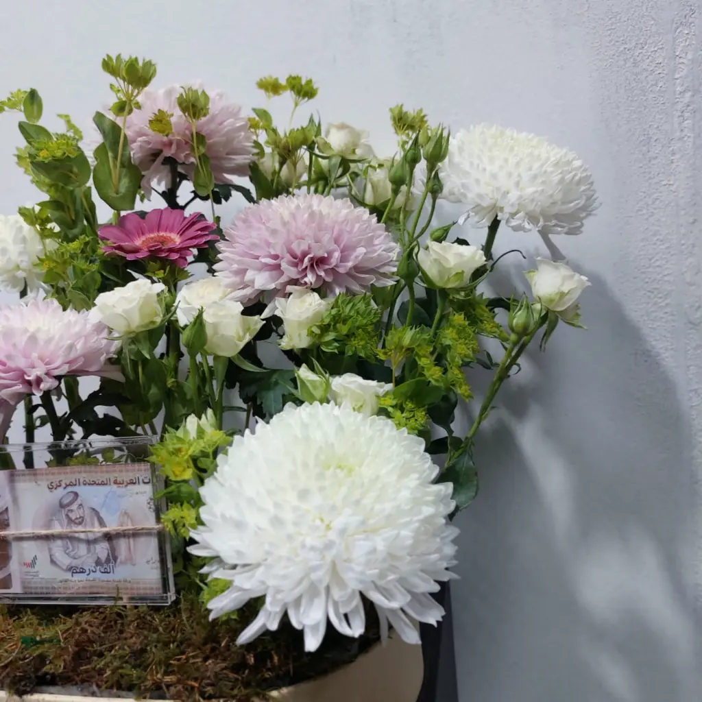 Blossom Cash Creation3.webp