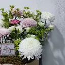 Blossom Cash Creation3.webp