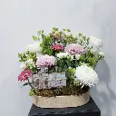 Blossom Cash Creation.webp