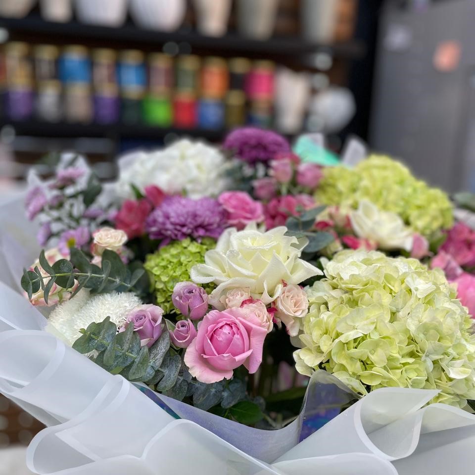 Hydrangea Haven