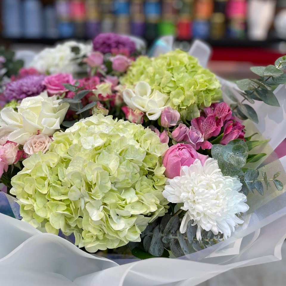 Hydrangea Haven