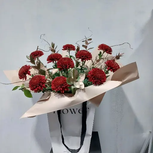 Bag Arrangement #001